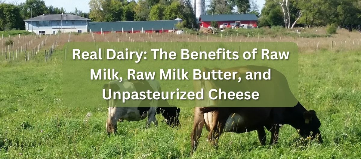 Real Dairy The Benefits Of Raw Milk Raw Milk Butter And Unpasteurized Cheese — Prairies Edge Farm